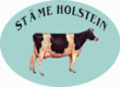 Stme Holstein